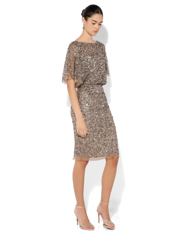 Alinda Gunmetal Hand Beaded Dress