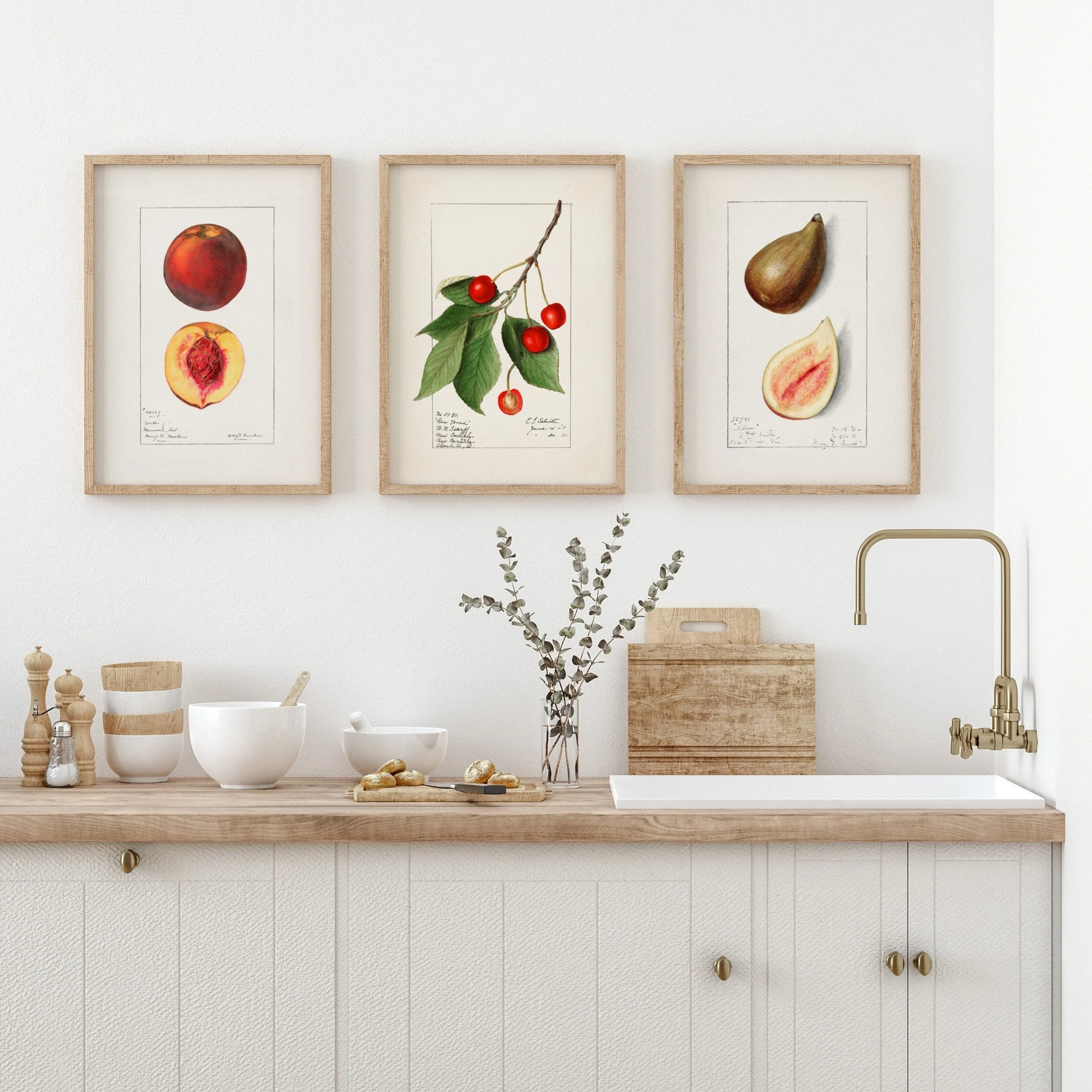 Peach Cherry Fig - Vintage Fruit Drawings Set of three Wall Art