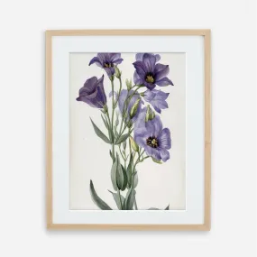 Printed Vintage Floral Plant Wall Art